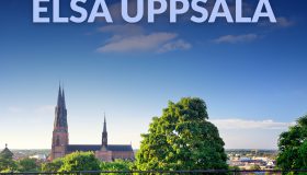 Study Visit to Uppsala