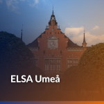 Study Visit to Umeå
