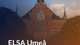 Study Visit to Umeå