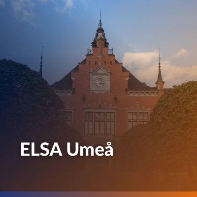 Study Visit to Umeå